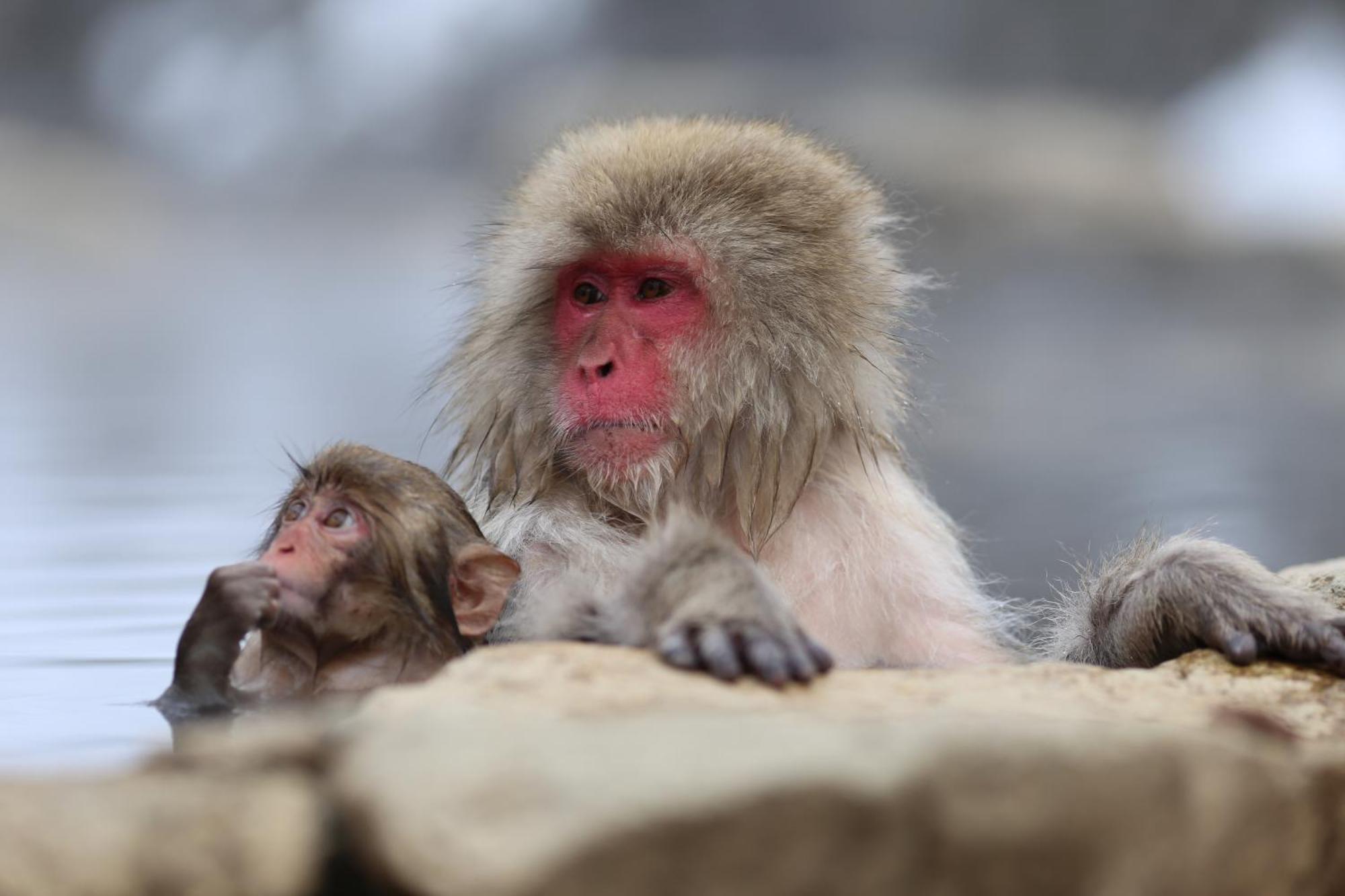 Hotel Montagne Matsumoto Zewnętrze zdjęcie